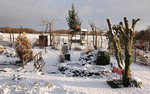 Garten im Winter