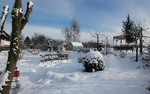 Garten im Winter